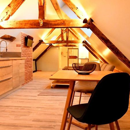 Loft Sous Les Combles - Loft Under The Rafter Apartment Rodez Luaran gambar