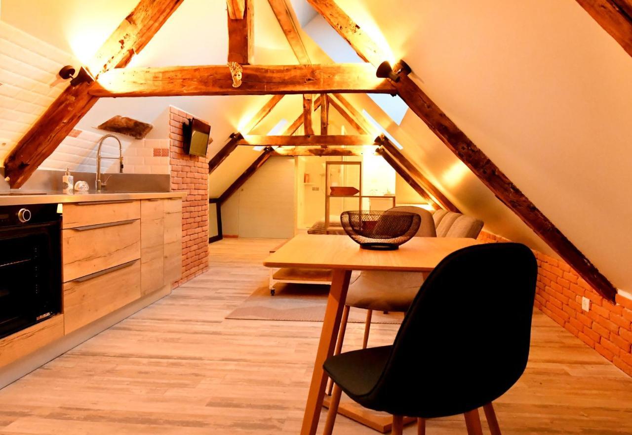 Loft Sous Les Combles - Loft Under The Rafter Apartment Rodez Luaran gambar