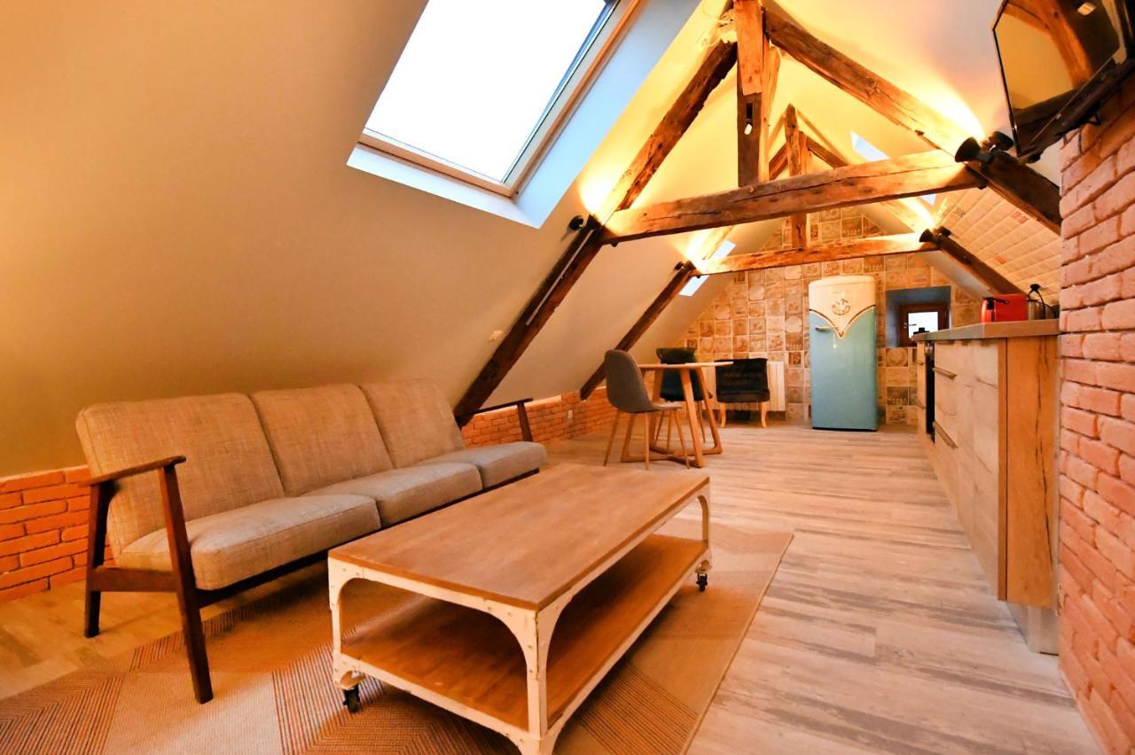 Loft Sous Les Combles - Loft Under The Rafter Apartment Rodez Luaran gambar